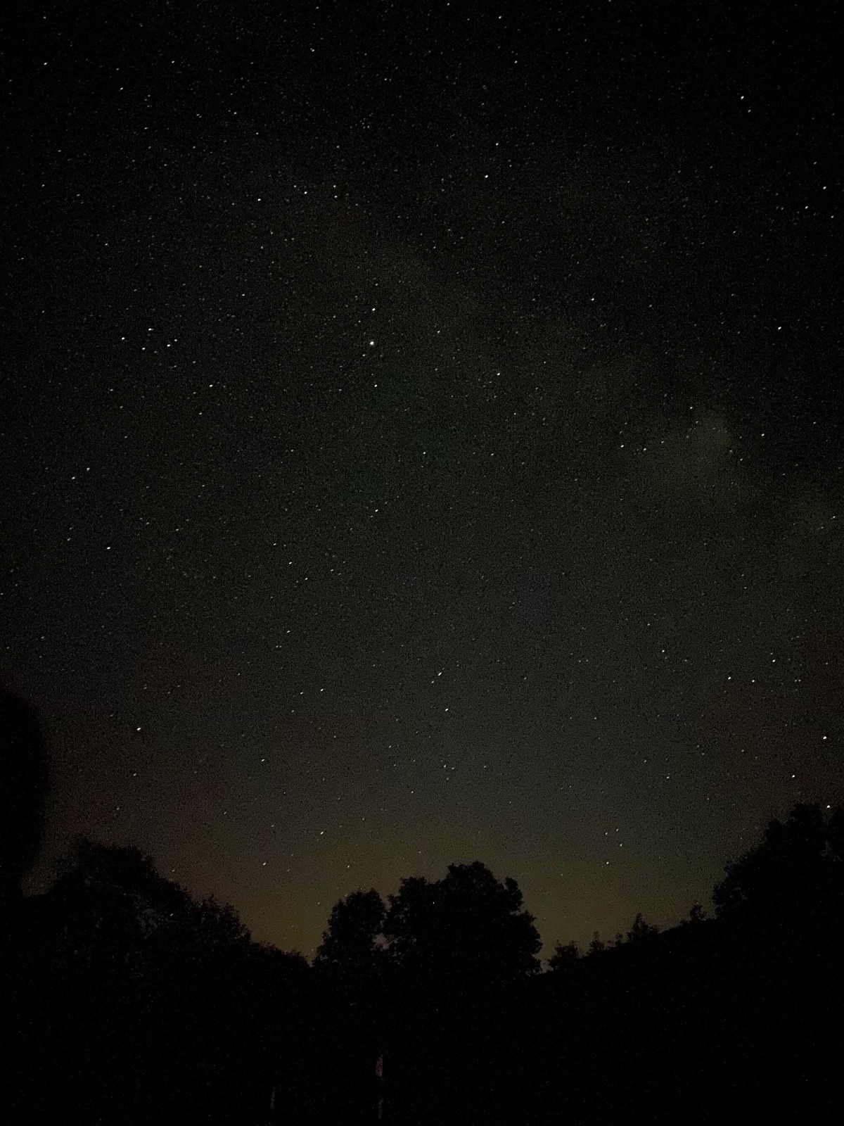 Night sky full of stars