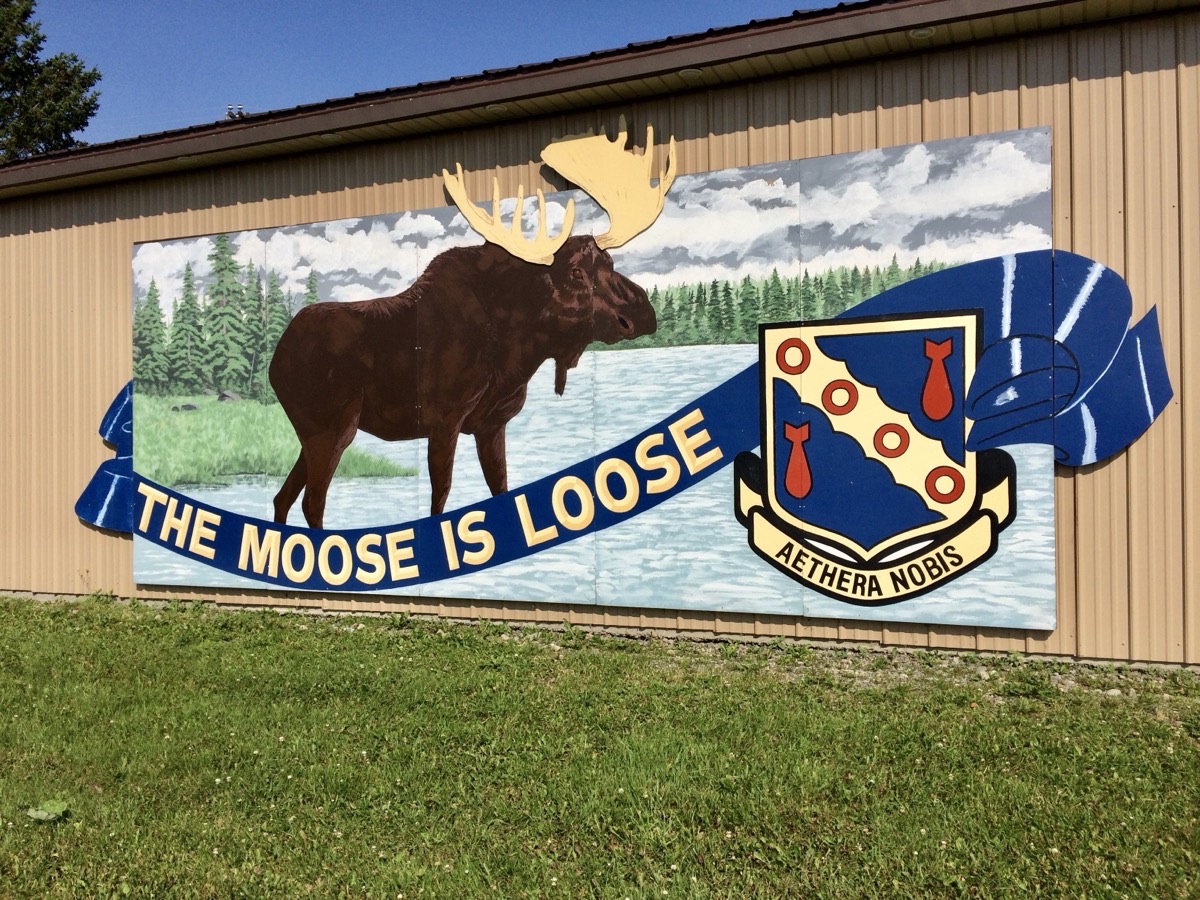 The Moose is Loose - Loring AFB Maine USA